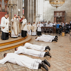 Diakonenweihe 2024 / Erzdiözese Wien/ Schönlaub