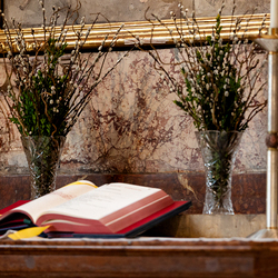 2025 Palmsonntag / Erzdiözese Wien/ Schönlaub, Stephan Schönlaub