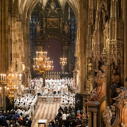 Chrisammesse 2025 / Erzdiözese Wien/ Schönlaub, Stephan Schönlaub