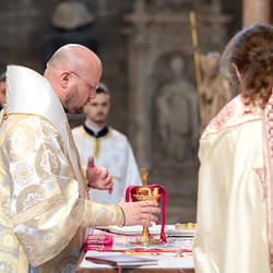 Priesterweihe Byzantinischer Ritus im Stephansdom / Erzdiözese Wien/ Schönlaub