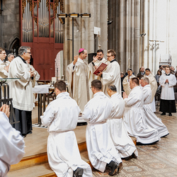 Diakonenweihe 2024 / Erzdiözese Wien/ Schönlaub