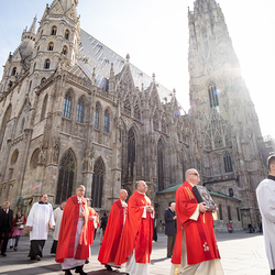 2025 Palmsonntag / Erzdiözese Wien/ Schönlaub, Stephan Schönlaub
