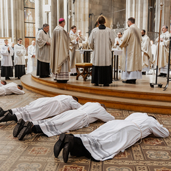 Diakonenweihe 2024 / Erzdiözese Wien/ Schönlaub