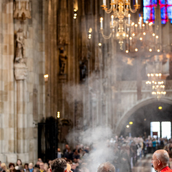 2025 Palmsonntag / Erzdiözese Wien/ Schönlaub, Stephan Schönlaub