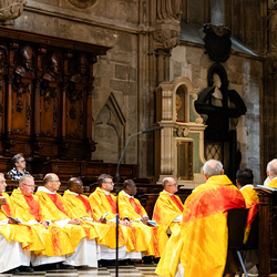Priesterjubiläen / Erzdiözese Wien/ Schönlaub
