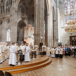 Diakonenweihe 2024 / Erzdiözese Wien/ Schönlaub