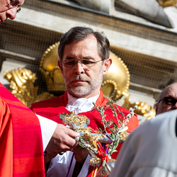 2025 Palmsonntag / Erzdiözese Wien/ Schönlaub, Stephan Schönlaub