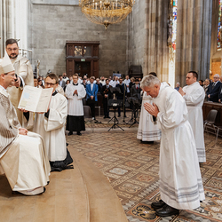 Diakonenweihe 2024 / Erzdiözese Wien/ Schönlaub