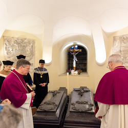 Dies Academicus 2024 / Erzdiözese Wien/Schönlaub