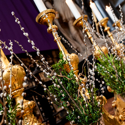 2025 Palmsonntag / Erzdiözese Wien/ Schönlaub, Stephan Schönlaub